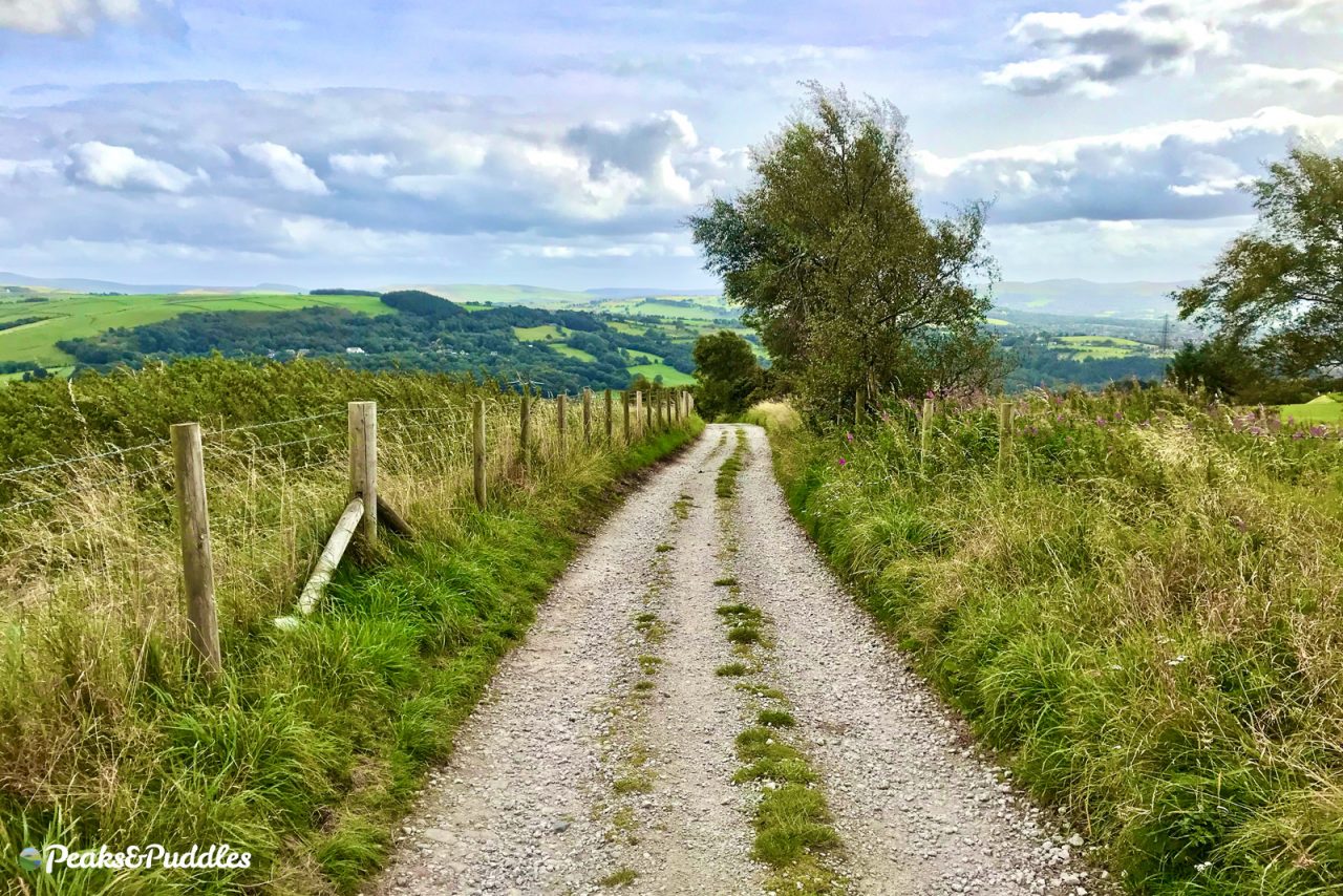 Track down Beacom Lane from Idle Hill on Werneth Low to Compstall