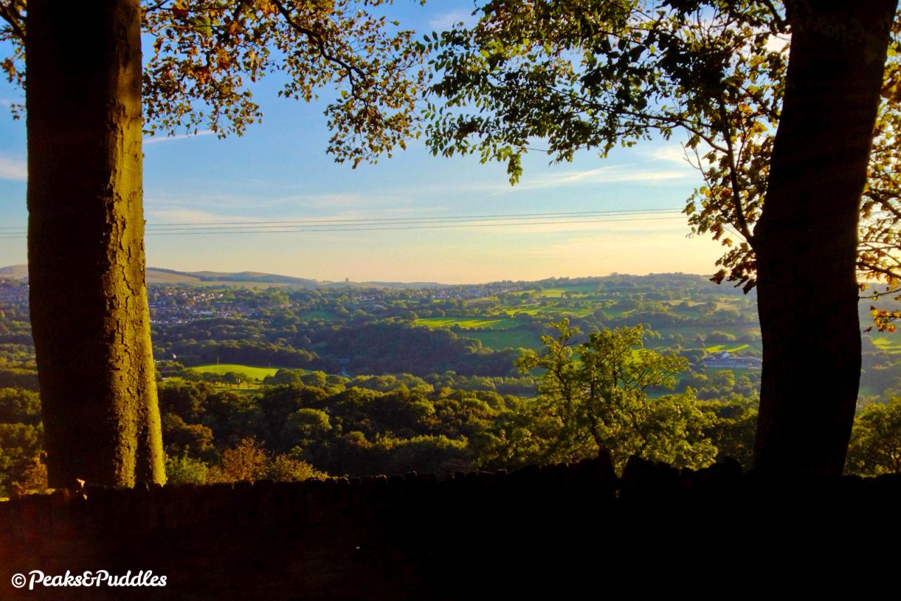 The mature trees of Higher Cliff frame endlessly photogenic views of Disley and the moors of Lyme Park.