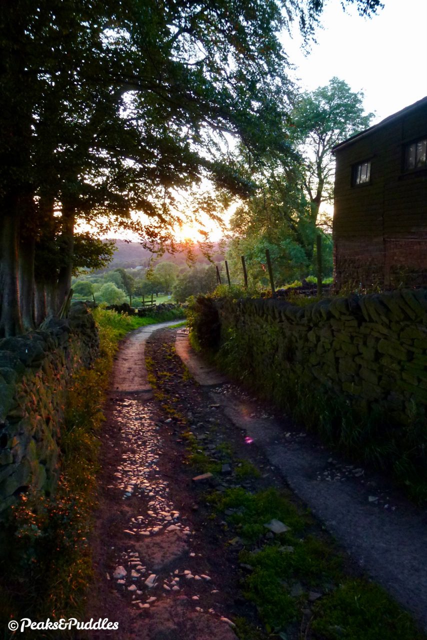 The lane turns uneven again as it drops down a cobbled farm track, the bumpiest descent along the route.